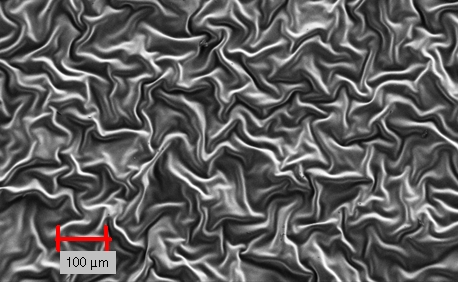 Lackoberfläche matt